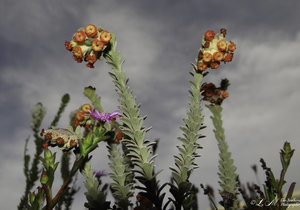 The Heuningberg Nature Reserve